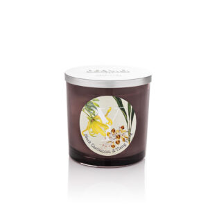 Black Cardamom & Ylang Ylang
