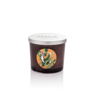 Cinnamon & Clove Candle