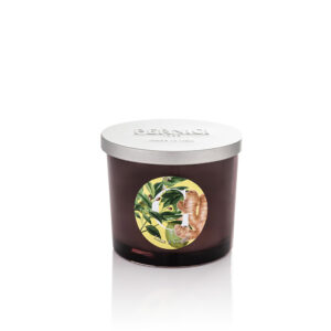 Lime & Ginger Candle